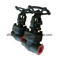 API602 800lb Forged Steel A105 Thread End NPT Gate Valve